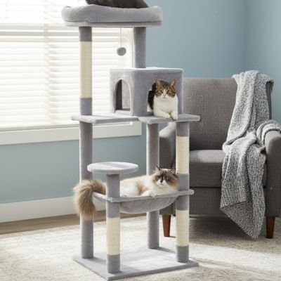 Arbre à chat | Paradis Félin - Fourtous