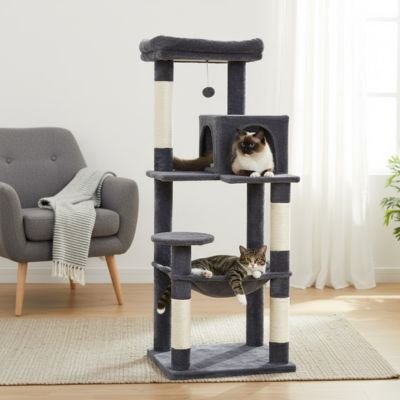 Arbre à chat | Paradis Félin - Fourtous