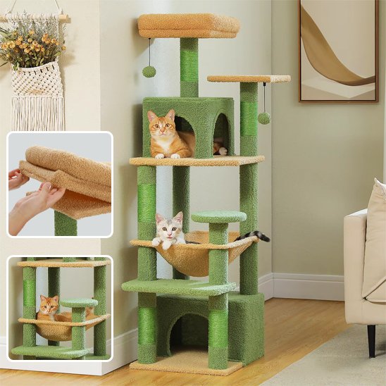 Arbre à chat | Robuste et Ludique - Fourtous