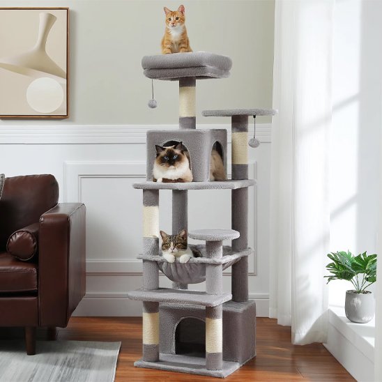 Arbre à chat | Robuste et Ludique - Fourtous