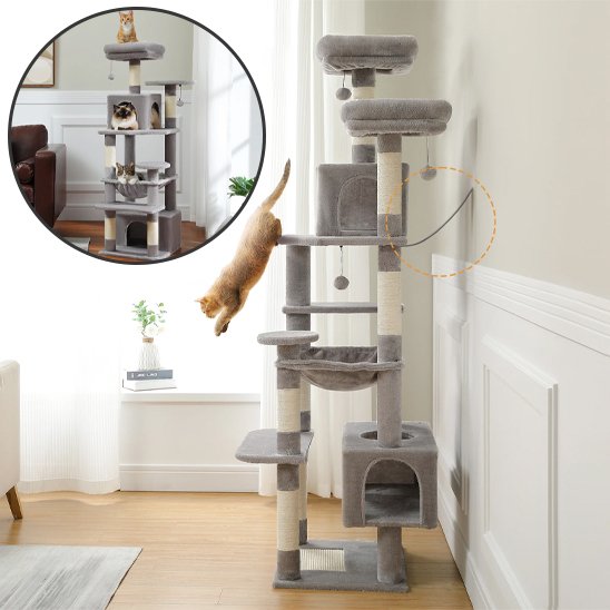 Arbre à chat | Robuste et Ludique - Fourtous
