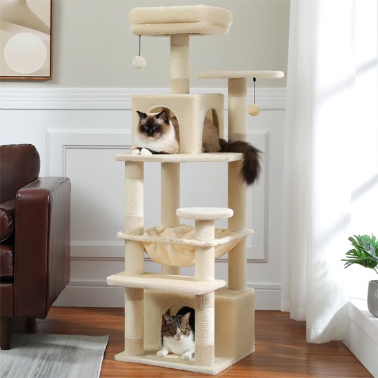 Arbre à chat | Robuste et Ludique - Fourtous