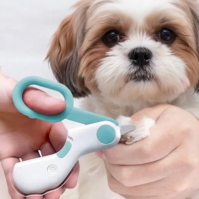Coupe griffe Chien | Professionnel - Fourtous