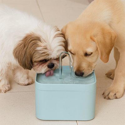 Fontaine a eau Chien | Silencieuse Filtrante - Fourtous