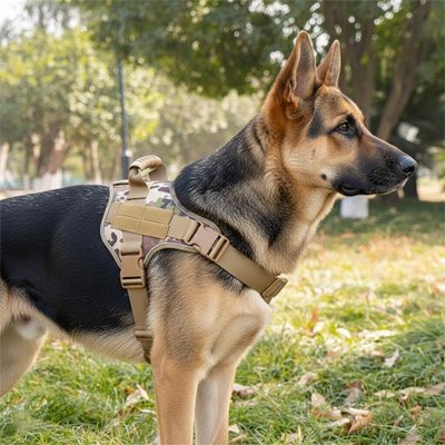 Harnais chien | Confort Antitraction - Fourtous