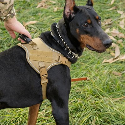 Harnais chien | Confort Antitraction - Fourtous