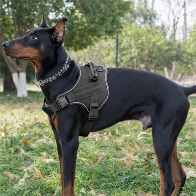 Harnais chien | Confort Antitraction - Fourtous