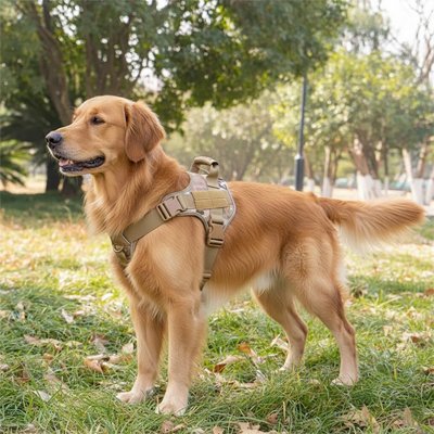Harnais chien | Confort Antitraction - Fourtous