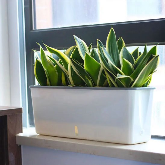 Jardiniere | EcoDesign - Fourtous