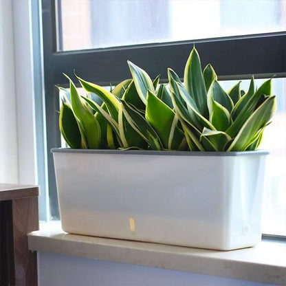 Jardiniere | EcoDesign - Fourtous