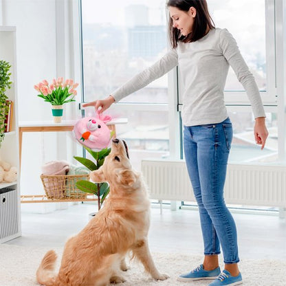 Jouets chien | Durables & Interactifs - Fourtous