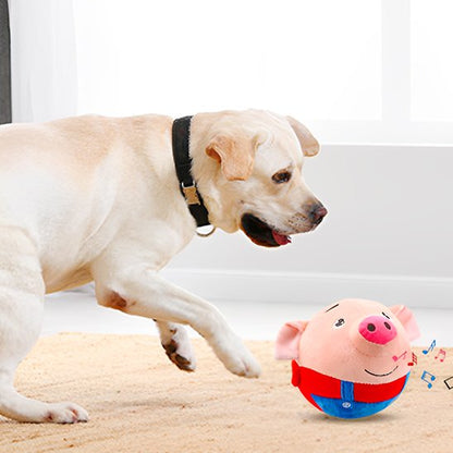 Jouets chien | Durables & Interactifs - Fourtous