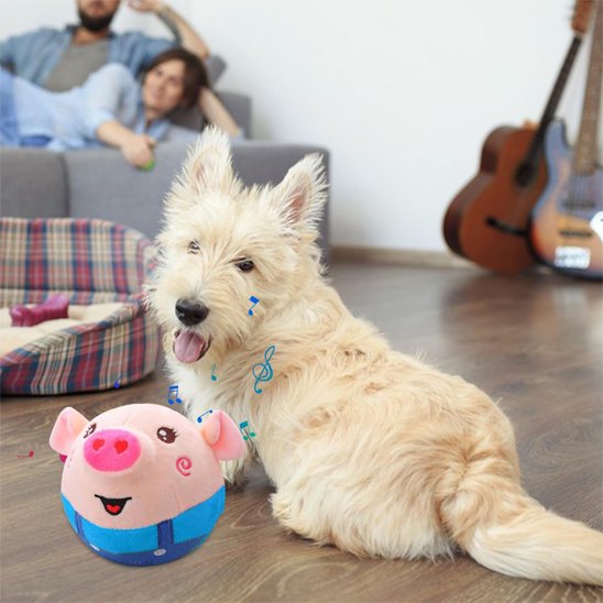 Jouets chien | Durables & Interactifs - Fourtous