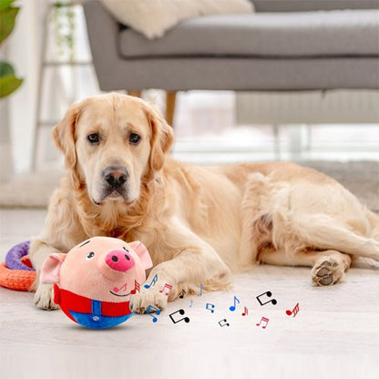 Jouets chien | Durables & Interactifs - Fourtous