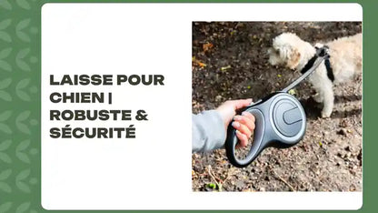 Laisse pour Chien | Robuste &amp; S&eacute;curit&eacute; by@Outfy