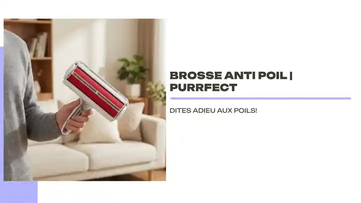 Brosse anti poil | PurrFect by@Outfy