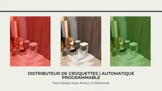 Distributeur de croquettes | Automatique programmable by@Outfy