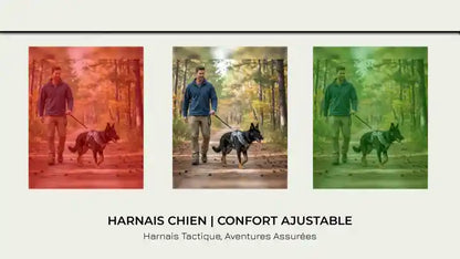 Harnais chien | Confort Ajustable by@Outfy