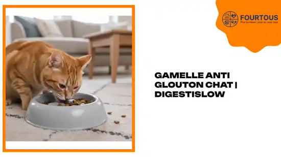 Gamelle anti glouton Chat | DigestiSlow by@Outfy