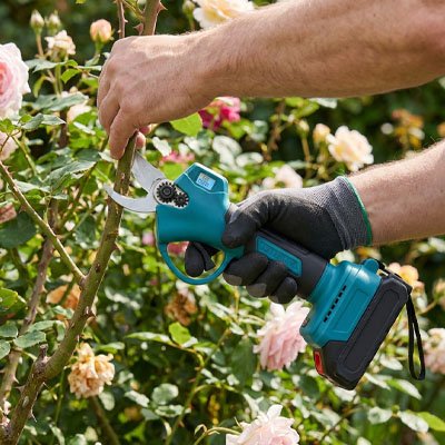 Sécateur électrique | Jardinage Facile - Fourtous