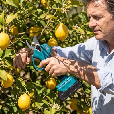 Sécateur électrique | Jardinage Facile - Fourtous