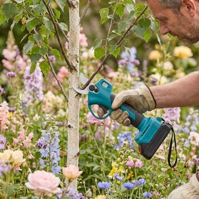 Sécateur électrique | Jardinage Facile - Fourtous